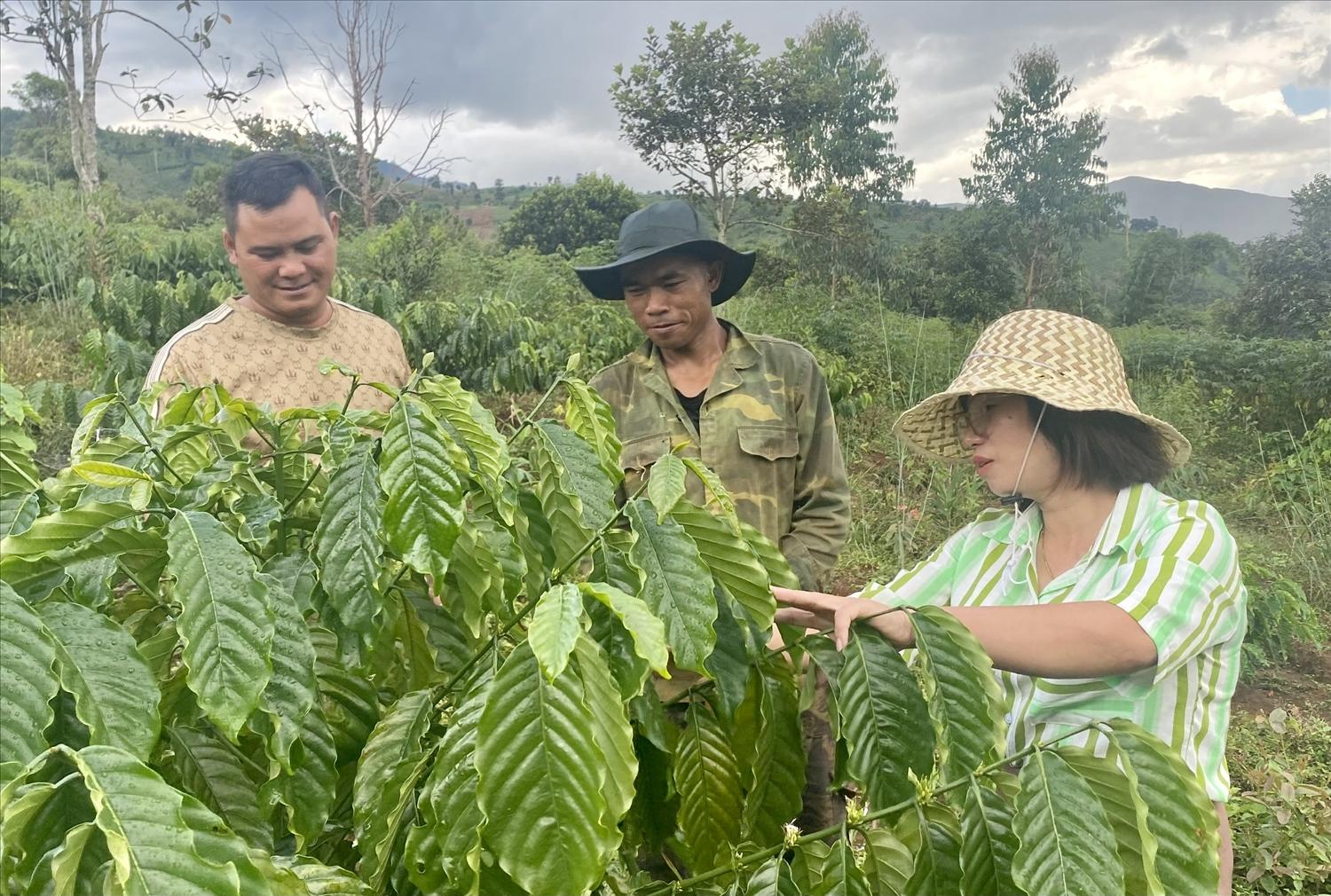 Với sự quan tâm của các cấp ủy Đảng, chính quyền địa phương đã giúp đồng bào Xơ Đăng thay đổi tư duy sản xuất và sử dụng có hiệu quả các nguồn lực hỗ trợ từ Chương trình MTQG 1719